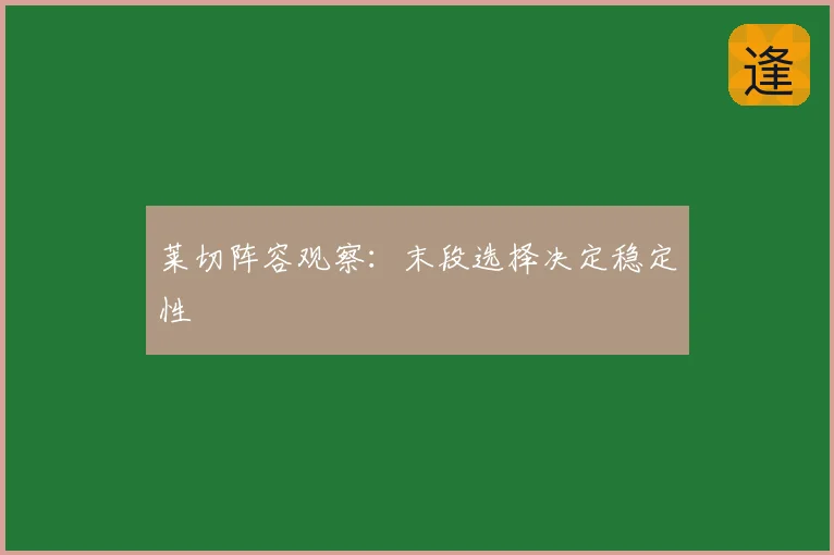 莱切阵容观察:末段选择决定稳定性